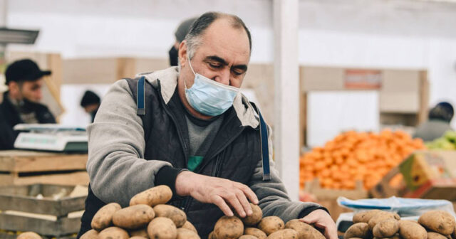 Kartof və soğanın bahalaşmasının səbəbi açıqlandı