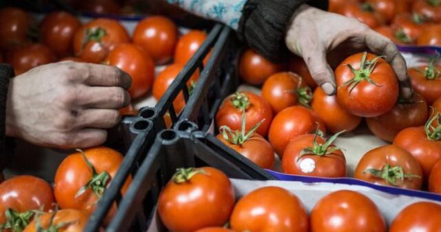 May ayında pomidor niyə 3 manatdan satılır? – Video