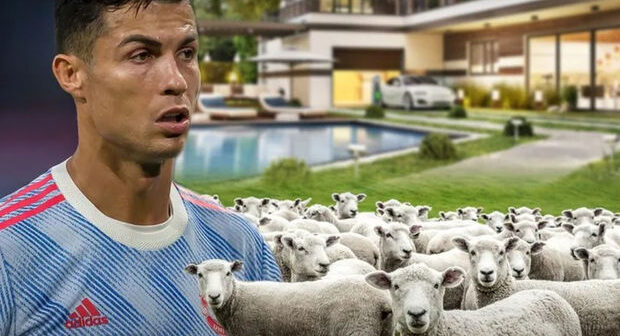 Ronaldo üçün 20 qoyun təklif edildi: “CAVAB GÖZLƏYİRİK…”