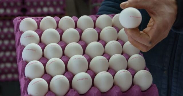 Azərbaycan yumurtanın qiyməti niyə bahalaşıb? – VİDEO