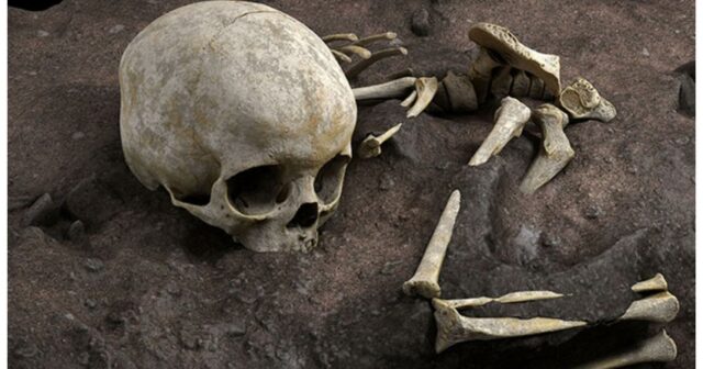 “Tərtər işi”: İşgəncələr nəticəsində ölən şəxslərdən birinin meyiti ekshumasiya edilib